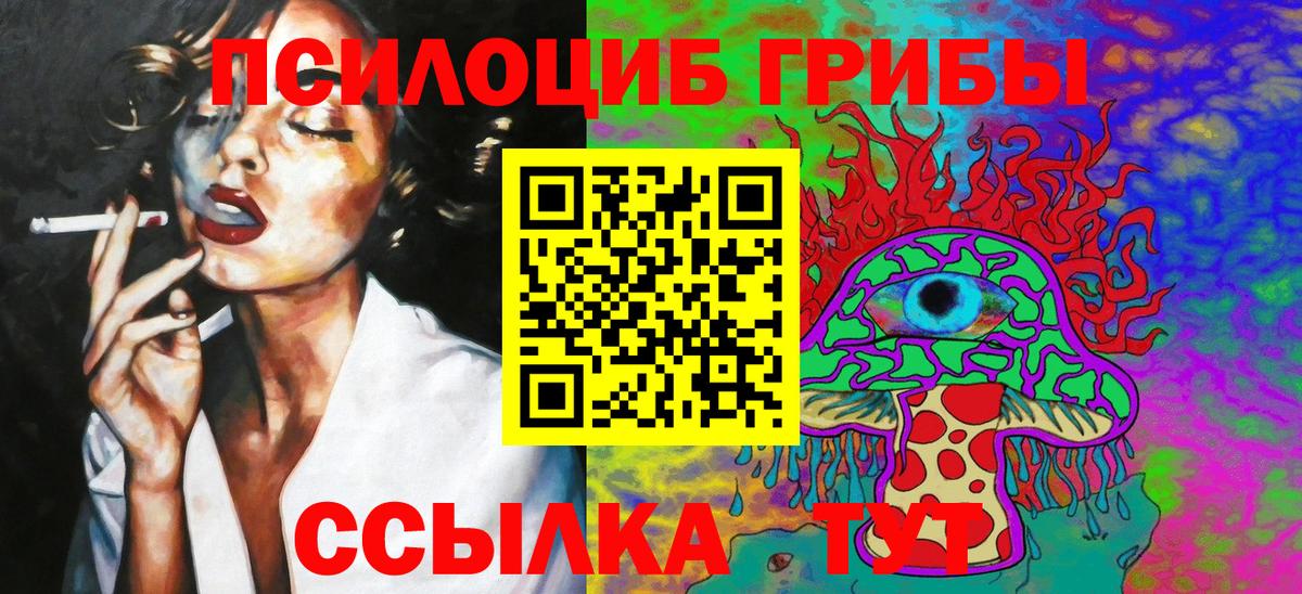 Галлюциногенные грибы Psilocybine cubensis Абакан