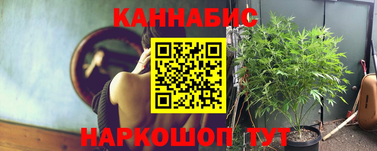 Бошки марихуана Amnesia  Шишки марихуана VHQ  Вход с VPN  Бошки марихуана MAZAR  Бошки Шишки гибрид  Абакан 